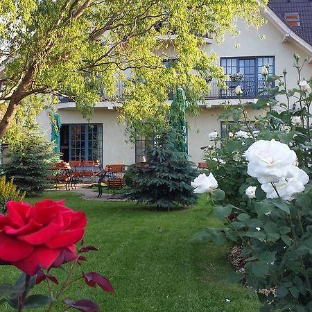 Villa Westfalia Guest House Tîrgu Secuiesc المظهر الخارجي الصورة