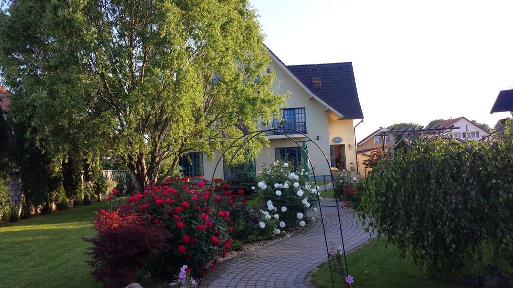Villa Westfalia Guest House Tîrgu Secuiesc المظهر الخارجي الصورة