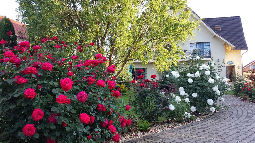 Villa Westfalia Guest House Tîrgu Secuiesc المظهر الخارجي الصورة